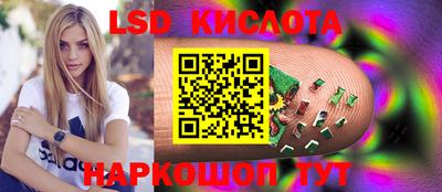 прущие грибы Краснодар