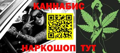 прущие грибы Краснодар