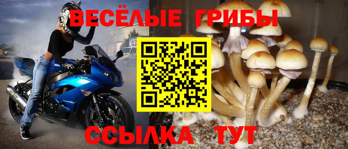 Галлюциногенные грибы мухоморы  Псилоцибиновые грибы Magic Shrooms  Вышний Волочёк  Вход с VPN 